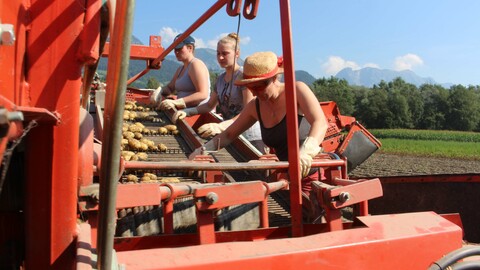 Summer in the Styrian Enns Valley, Bild 7